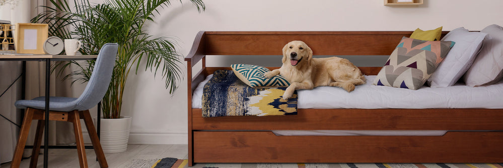Quarto com bicama de solteiro flora na cor caramelo
