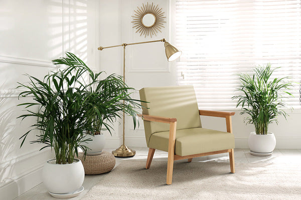 foto ambientada poltrona madeira caju natural e tecido verde em sala de estar